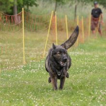 20220612 IMG 2130 1400