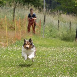 20220612 IMG 2134 1400