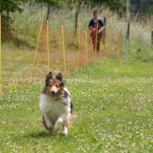 20220612 IMG 2135 1400