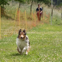 20220612 IMG 2135 1400