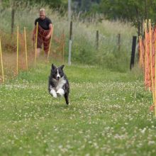 20220612 IMG 2139 1400