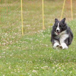 20220612 IMG 2141 1400