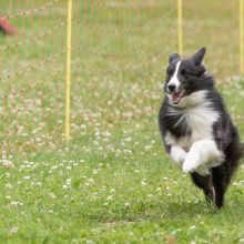 20220612 IMG 2142 1400