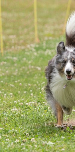 20220612 IMG 2147 1400