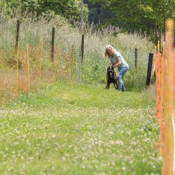 20220612 IMG 2151 1400