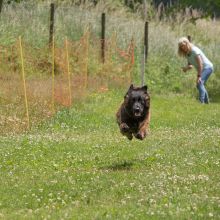 20220612 IMG 2153 1400