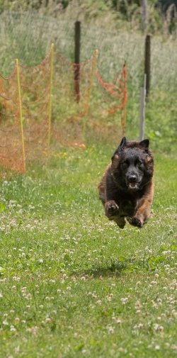 20220612 IMG 2153 1400