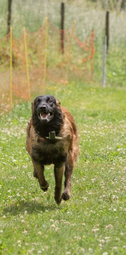 20220612 IMG 2154 1400