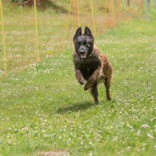 20220612 IMG 2156 1400