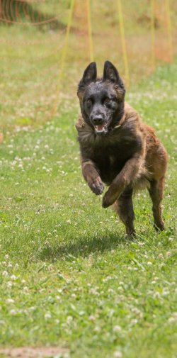 20220612 IMG 2156 1400