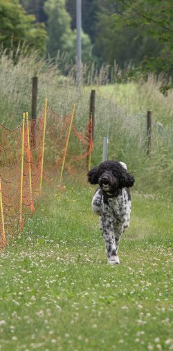 20220612 IMG 2159 1400