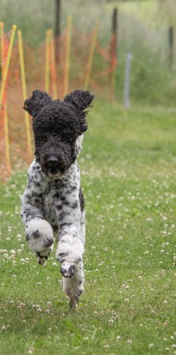 20220612 IMG 2163 1400