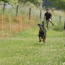 20220612 IMG 2166 1400