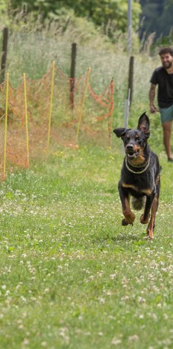 20220612 IMG 2166 1400