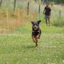 20220612 IMG 2168 1400