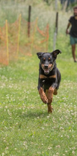 20220612 IMG 2168 1400