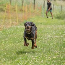 20220612 IMG 2170 1400