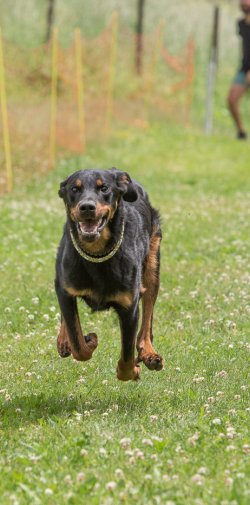 20220612 IMG 2170 1400