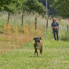 20220612 IMG 2176 1400