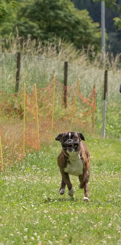 20220612 IMG 2176 1400