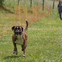 20220612 IMG 2178 1400