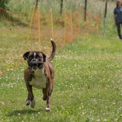 20220612 IMG 2178 1400