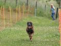 20220612 IMG 2182 1400