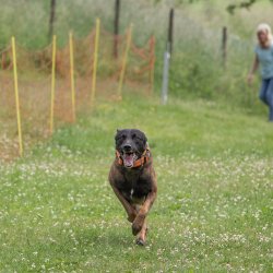 20220612 IMG 2182 1400