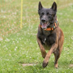 20220612 IMG 2185 1400