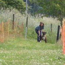 20220612 IMG 2186 1400