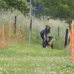 20220612 IMG 2186 1400