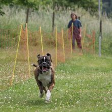 20220612 IMG 2189 1400