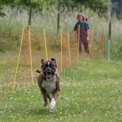 20220612 IMG 2189 1400