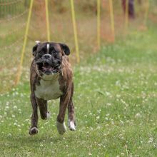 20220612 IMG 2190 1400