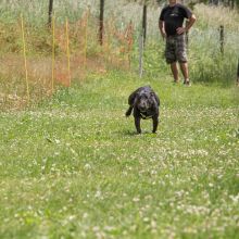 20220612 IMG 2197 1400