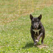 20220612 IMG 2203 1400