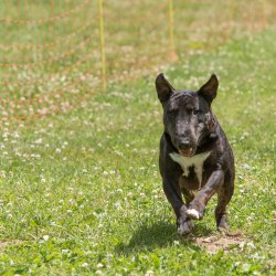 20220612 IMG 2203 1400