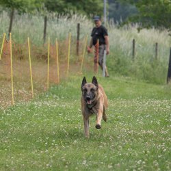 20220612 IMG 2208 1400