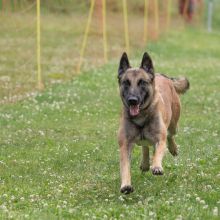 20220612 IMG 2212 1400