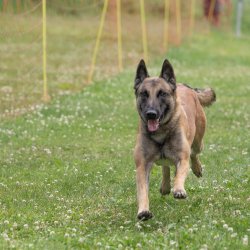 20220612 IMG 2212 1400