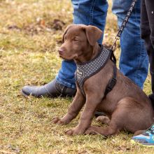 Index 1400px 20220312 IMG 1366