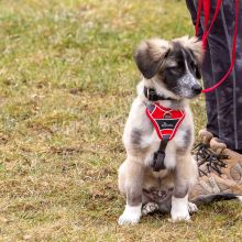 Index 1400px 20220312 IMG 1367