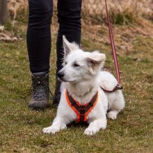 Index 1400px 20220312 IMG 1370