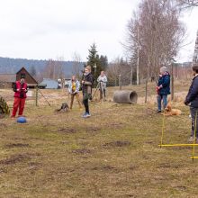 Index 1400px 20220312 IMG 1377