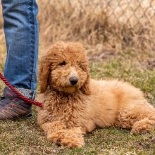 Index 1400px 20220312 IMG 1382