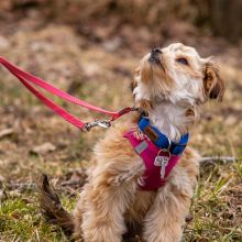 Index 1400px 20220312 IMG 1385