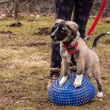 Index 1400px 20220312 IMG 1389