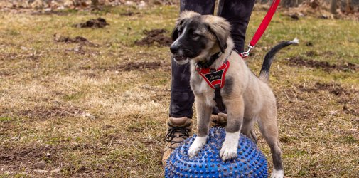 Index 1400px 20220312 IMG 1389