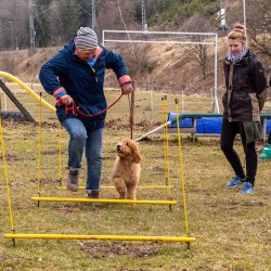 Index 1400px 20220312 IMG 1390