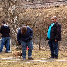 Index 1400px 20220312 IMG 1417